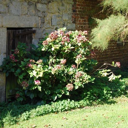 Gite La Grange D'Herbuchenne Dinant Zewnętrze zdjęcie