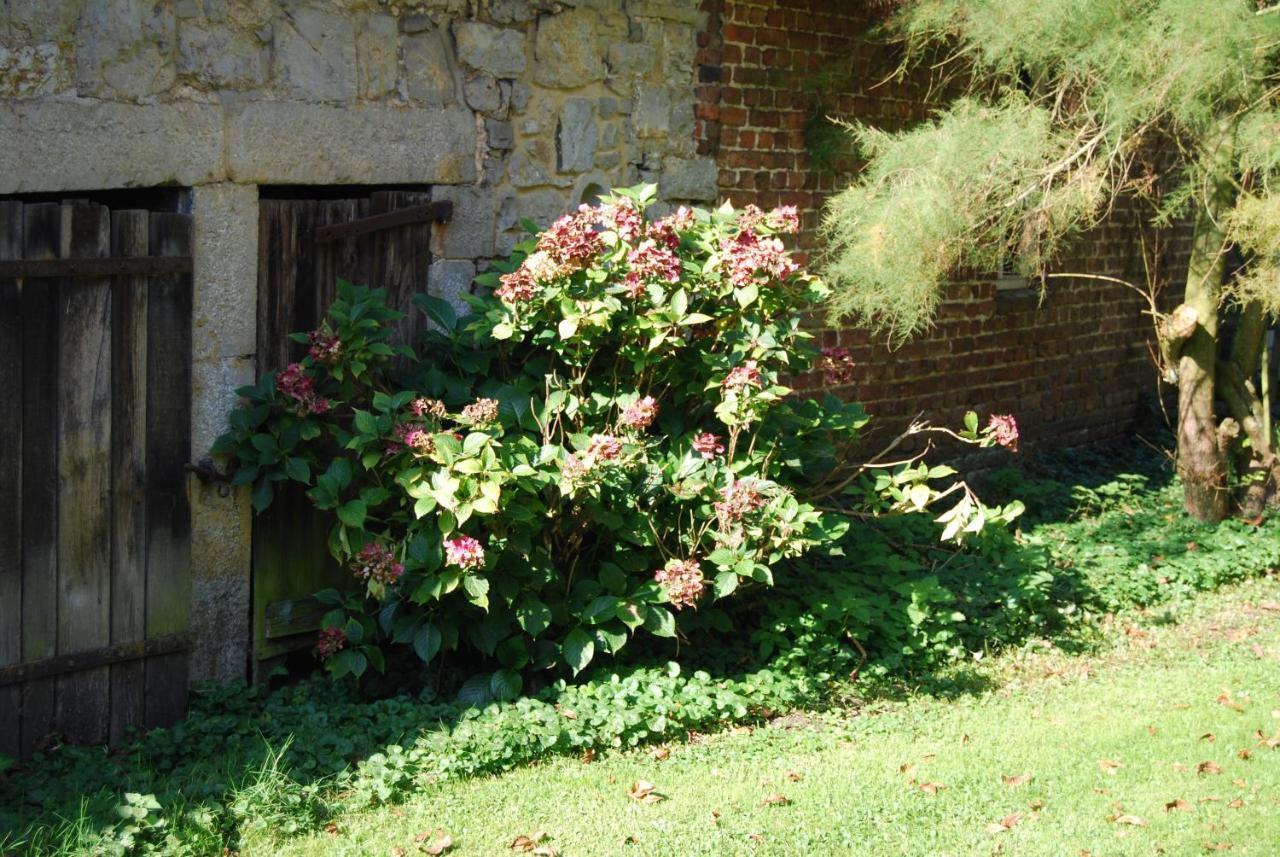 Gite La Grange D'Herbuchenne Dinant Zewnętrze zdjęcie